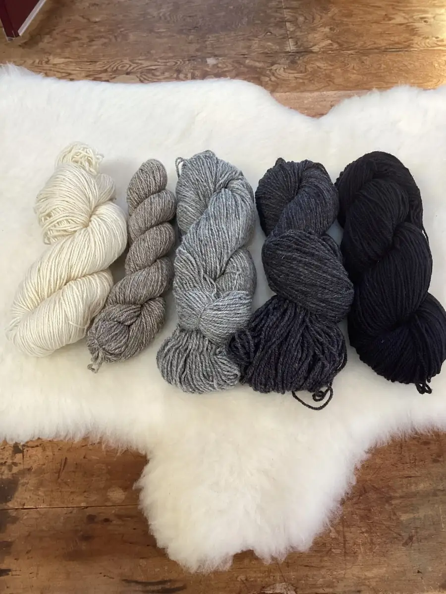 Natural, grey, and black Philosopher’s Wool skeins arranged on fleece