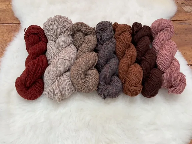 Rust, brown heather, ember, chocolate, and copper Philosopher’s Wool skeins