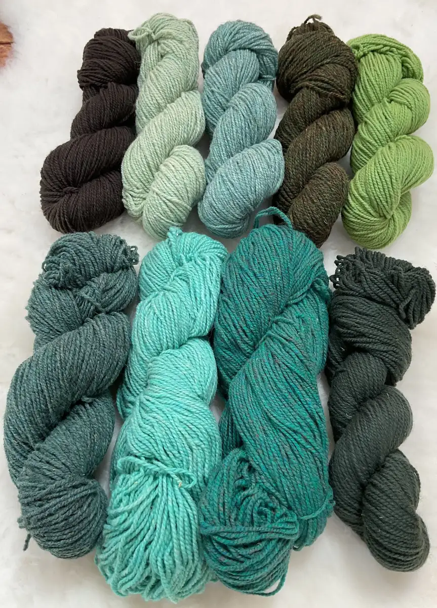 Peat, green heather, fern, meadow, Alberta, and forest Philosopher’s Wool skeins